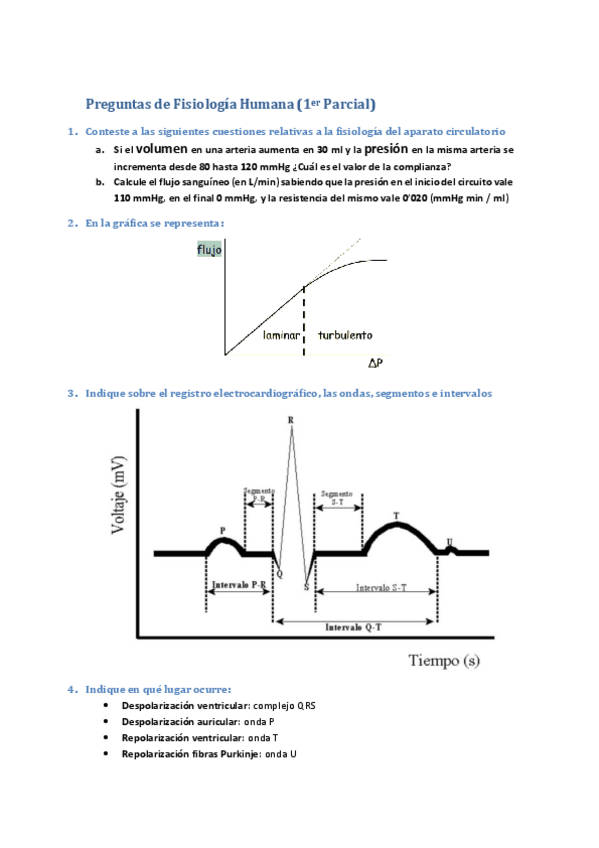 Miniatura del documento fisio-preguntas-cortas-1.pdf