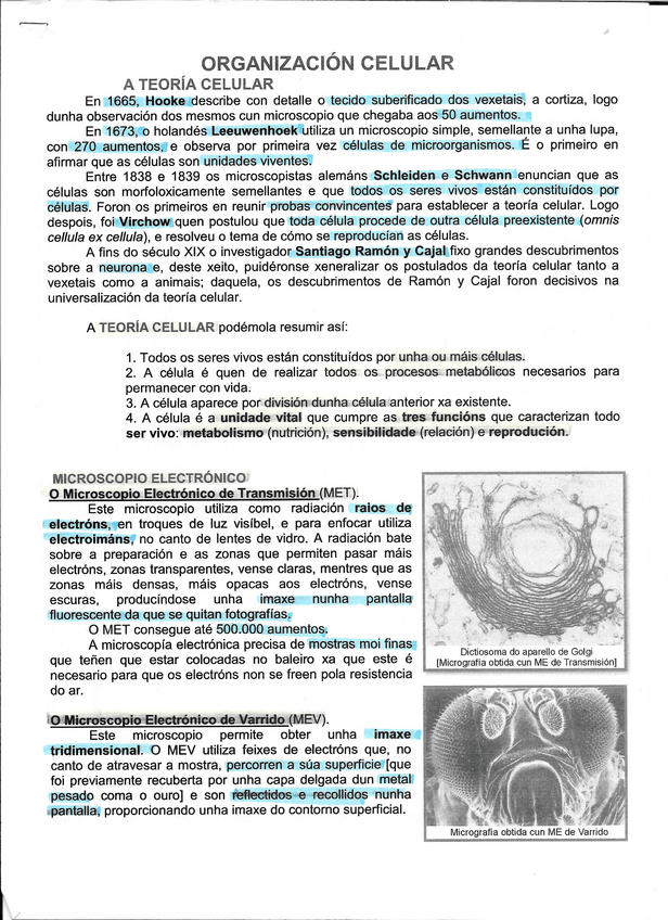 Miniatura del documento Teoria-y-organizacion-celular-T1-abau.pdf