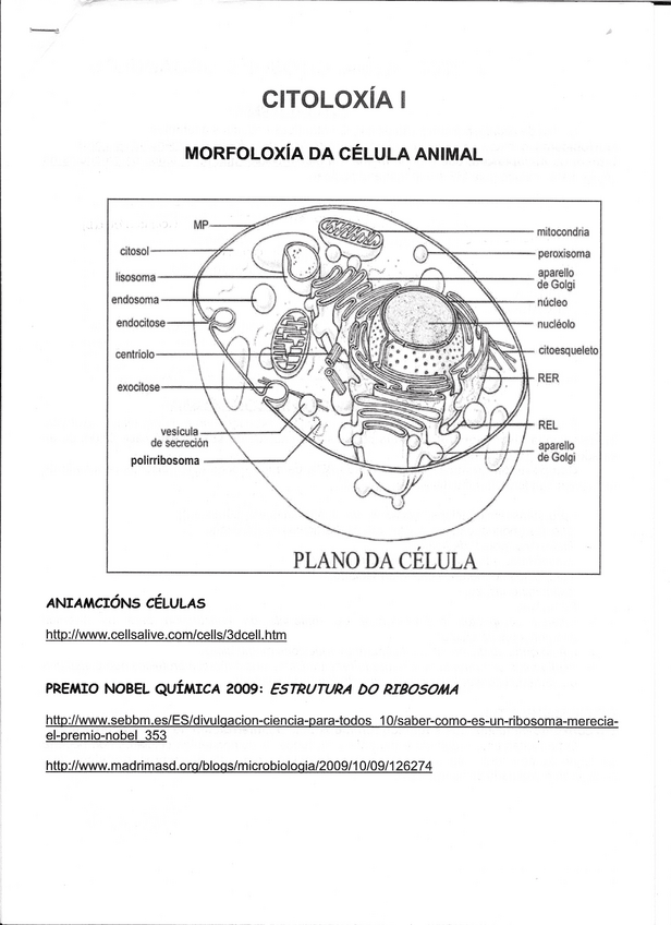 Miniatura del documento ORGANULOS-CELULARES-abau.pdf