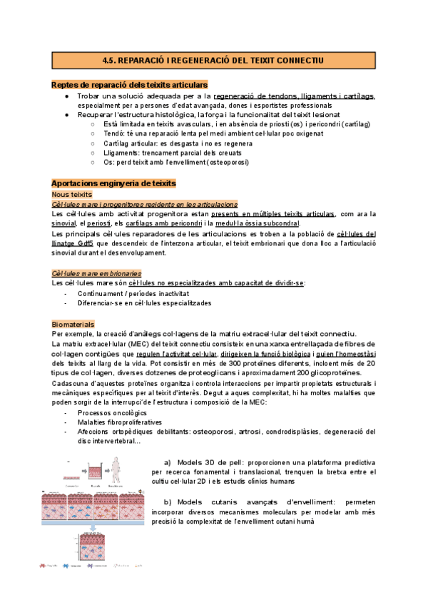 Miniatura del documento Apunts4.5.pdf