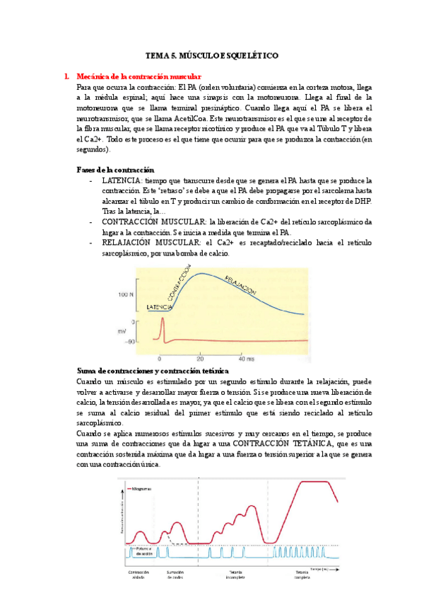 Miniatura del documento TEMA-5-MUSCULO-ESQUELETICO.pdf
