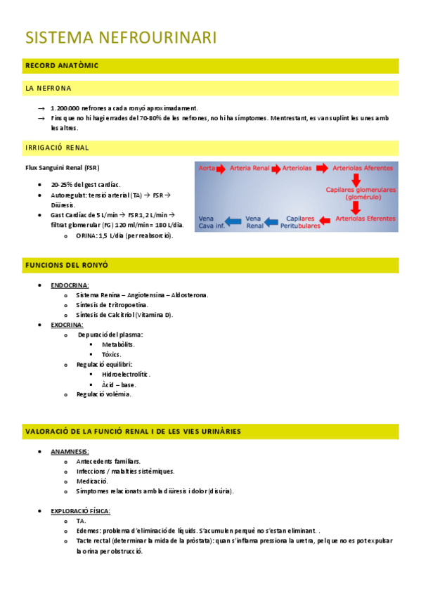 Miniatura del documento SISTEMA-NEFROURINARI.pdf