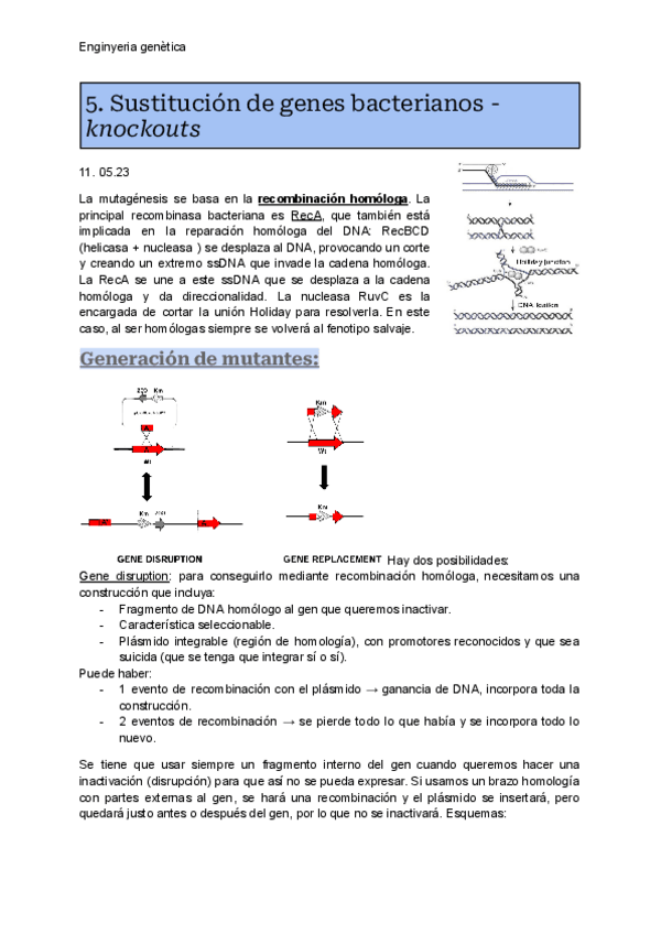 Miniatura del documento EGM-5.pdf
