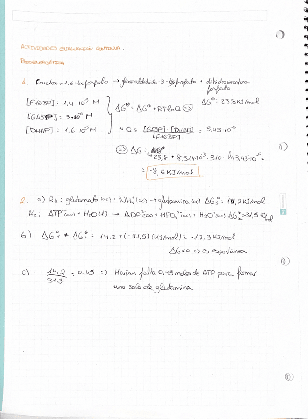 Miniatura del documento BIOENERGETICA.pdf