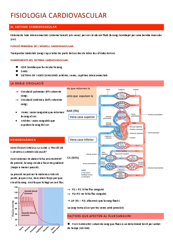 Miniatura del documento SISTEMA-CARDIOVASCULAR.pdf
