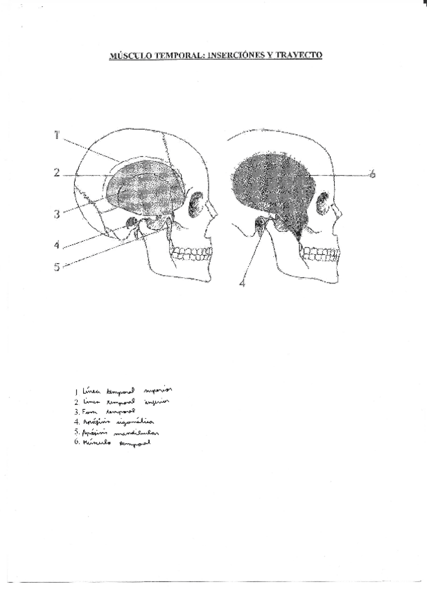 Miniatura del documento lAmina-6.pdf