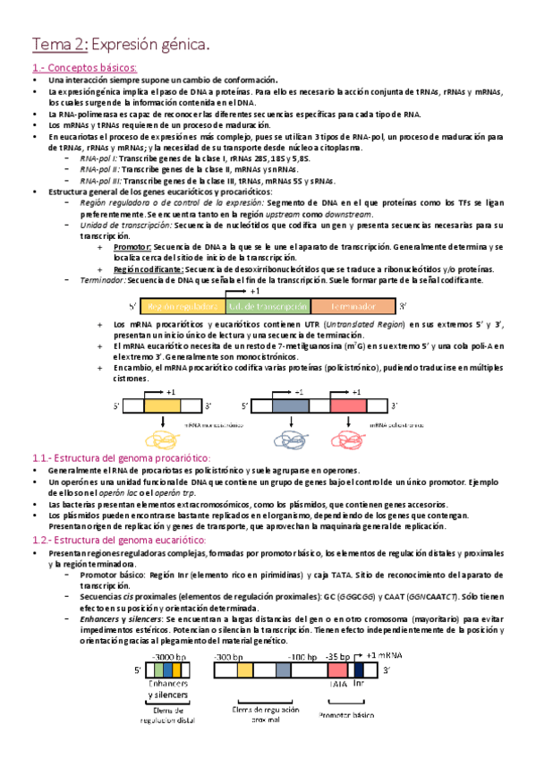Miniatura del documento Tema 2 - Expresión génica.pdf