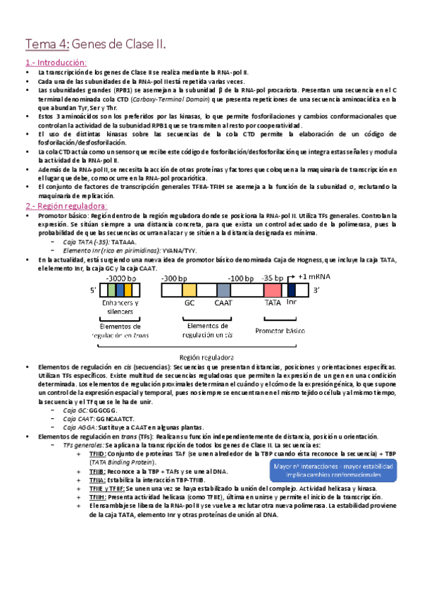 Miniatura del documento Tema 4 - Estructura de genes de Clase II.pdf