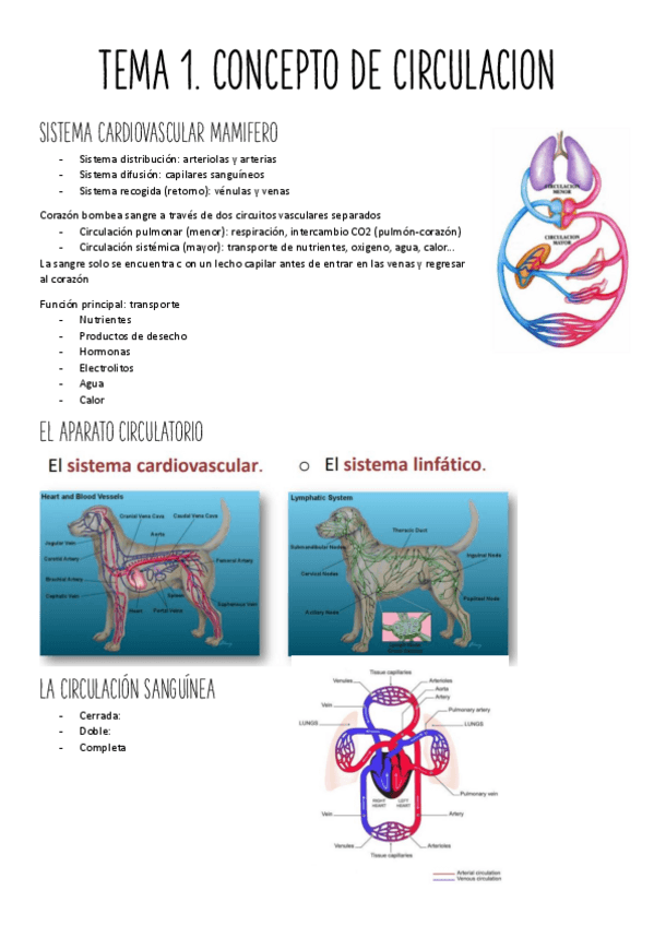 Miniatura del documento UNIDAD-1.pdf