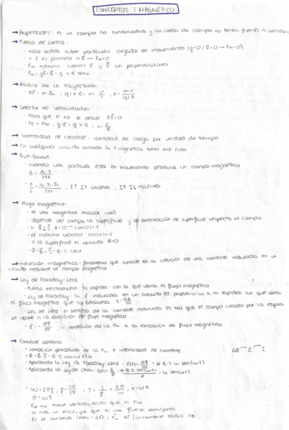 Miniatura del documento Campo-magnetico-teoria.pdf