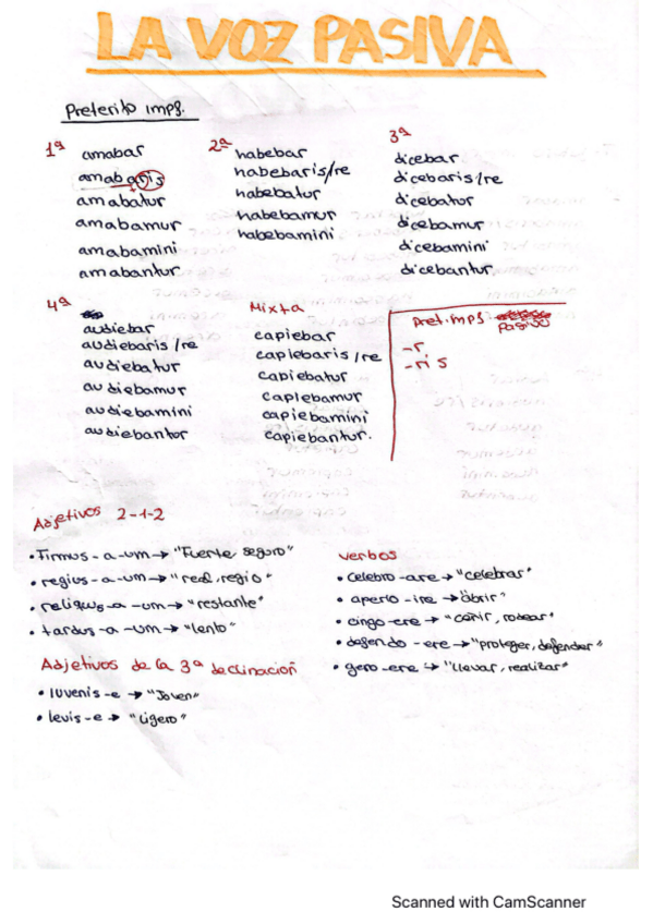 Miniatura del documento LA-VOZ-PASIVA-LATIN.pdf