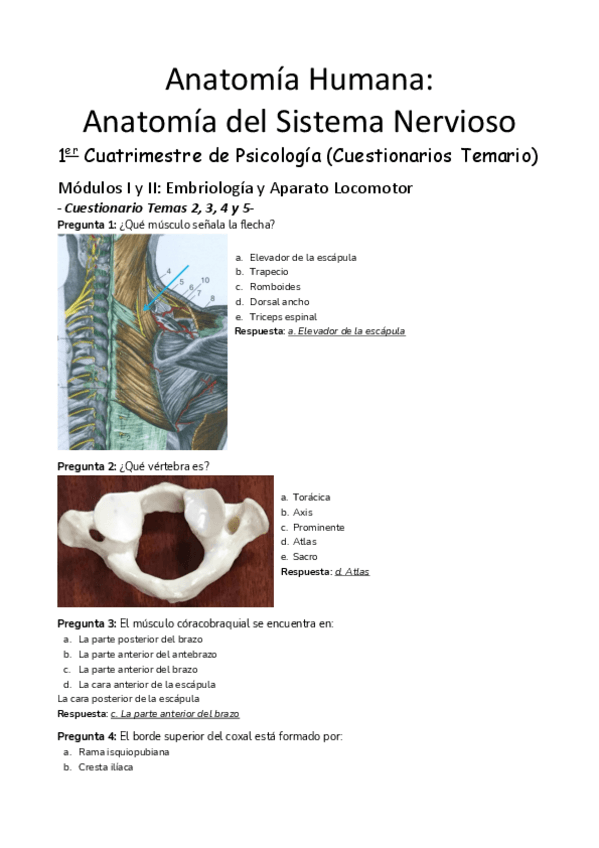 Miniatura del documento Cuestionarios-Clase.pdf