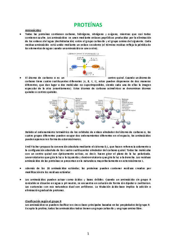 Miniatura del documento Introducció a la bioquímica.pdf