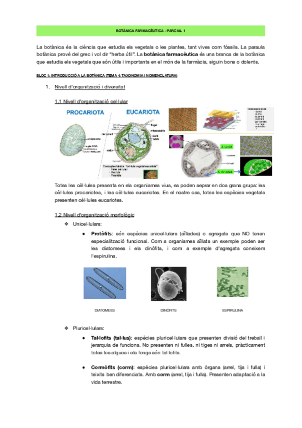 Miniatura del documento bloc-2-algues.pdf