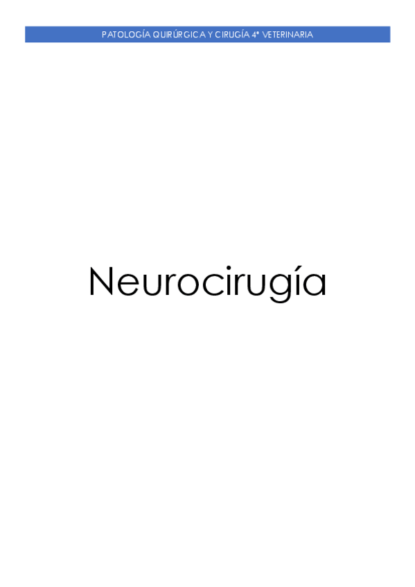 Miniatura del documento Neurocirugia.pdf