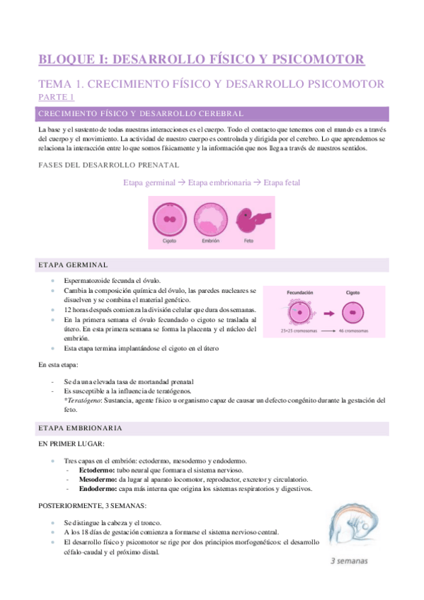 Miniatura del documento TEMA-1-desarrollo-aplicado-a-la-infancia.pdf