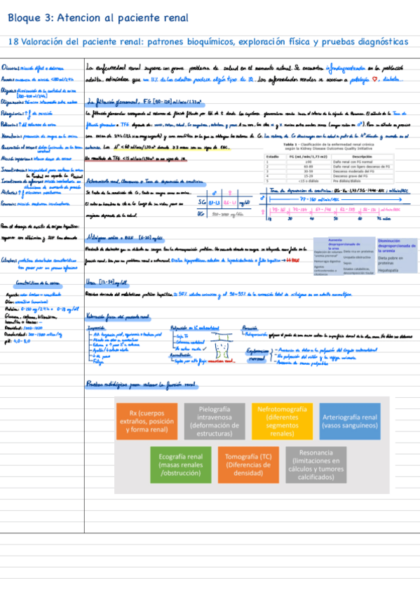 Miniatura del documento Bloque-3-renal.pdf