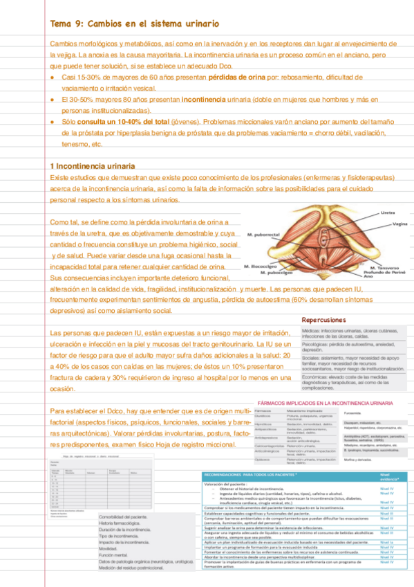 Miniatura del documento Tema-9.pdf