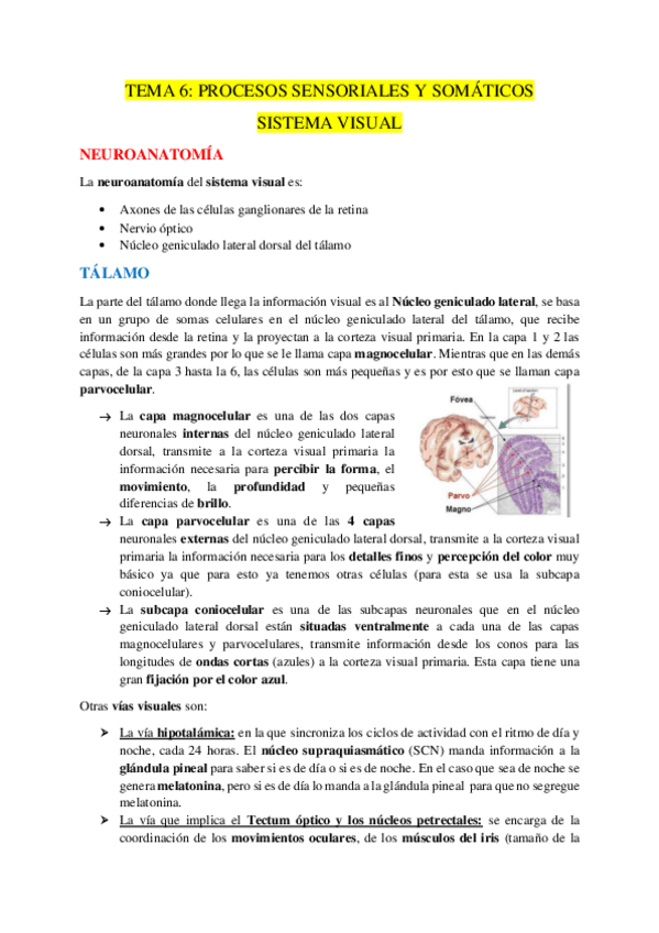 Miniatura del documento TEMA-6.pdf