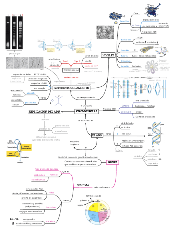 Miniatura del documento Bloque-1.pdf