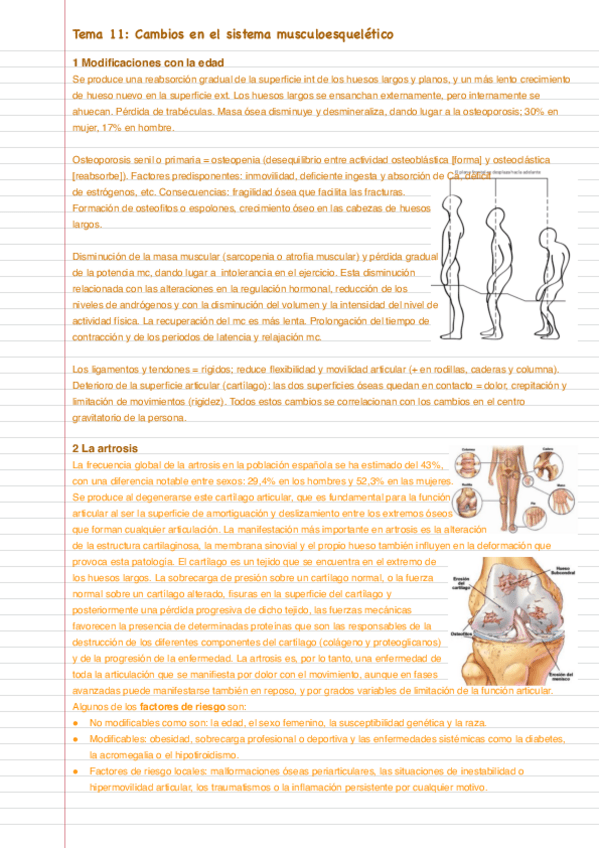Miniatura del documento Tema-11.pdf