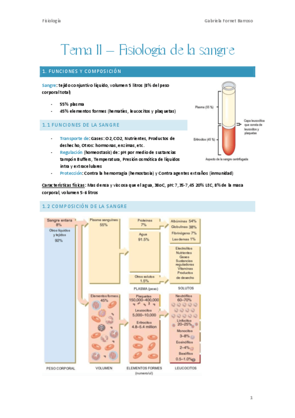Miniatura del documento Tema-11-Fisiologia-de-la-sangre.pdf