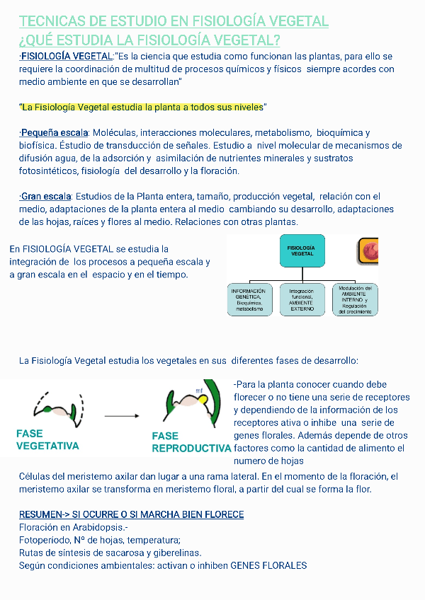 Miniatura del documento tema-6240402114602.pdf