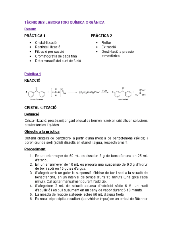 Miniatura del documento Tecniques-lab-QO.pdf