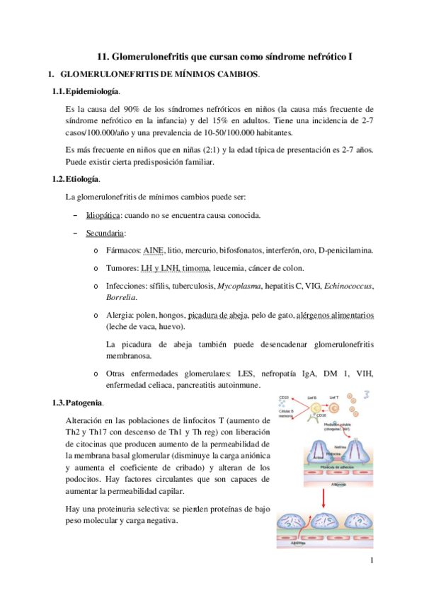Miniatura del documento 11.-Glomerulonefritis-que-cursan-como-sindrome-nefrotico-I.pdf