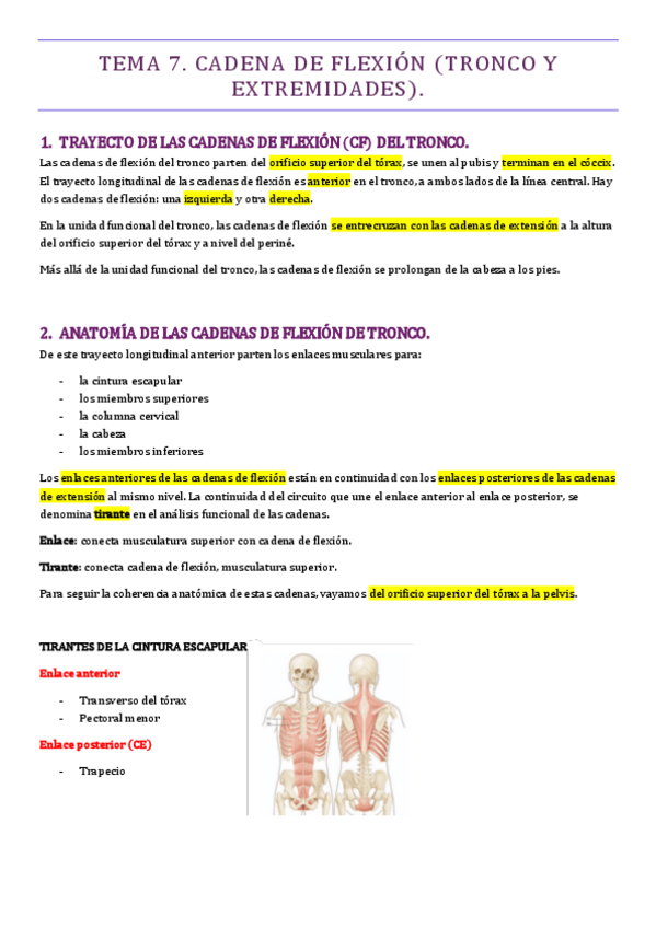 Miniatura del documento TEMA-7-METODOS.pdf