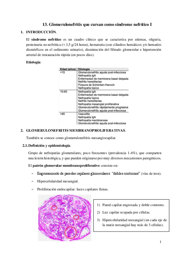 Miniatura del documento 13.-Glomerulonefritis-que-cursan-como-sindrome-nefritico-I.pdf