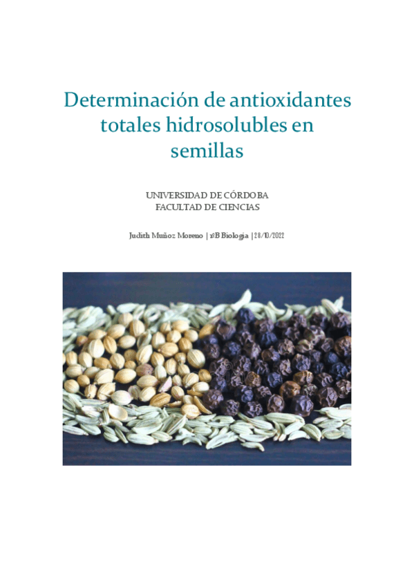 Miniatura del documento informe-feeb-1.pdf