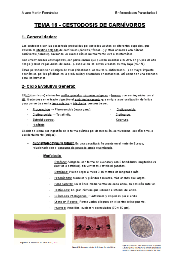 Miniatura del documento TEMA-16-CESTODOSIS-DE-CARNIVOROS.pdf
