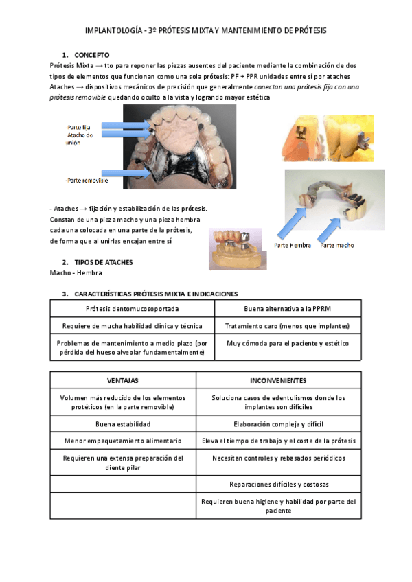 Miniatura del documento PROTESIS-MIXTA.pdf