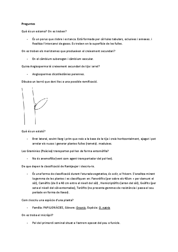 Miniatura del documento Bio-examen.pdf