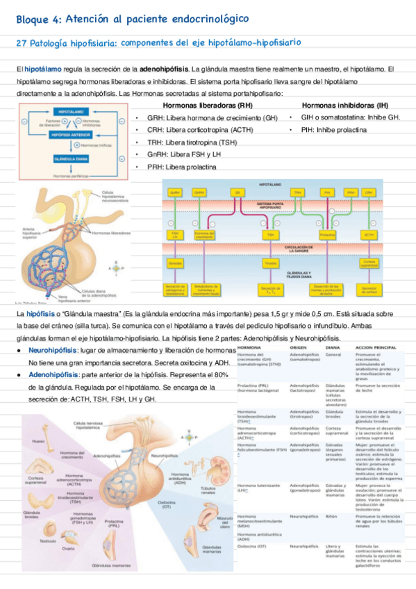 Miniatura del documento Bloque-4-Atencion-al-paciente-endocrinologico.pdf