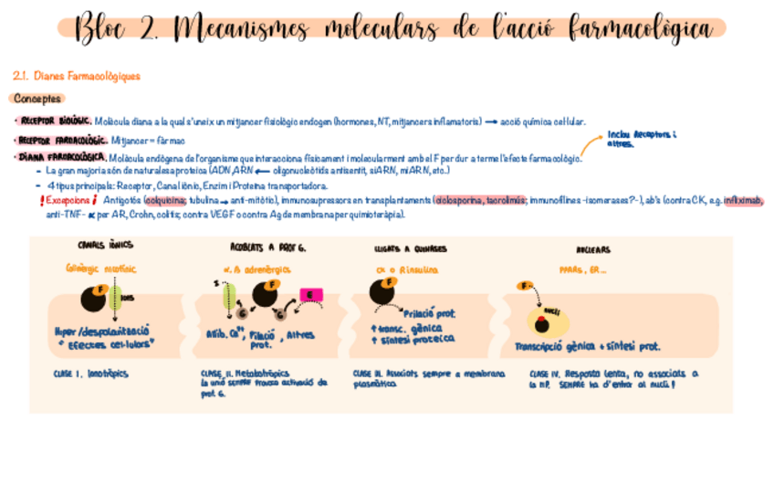Miniatura del documento Resum-Bloc-2-3.pdf