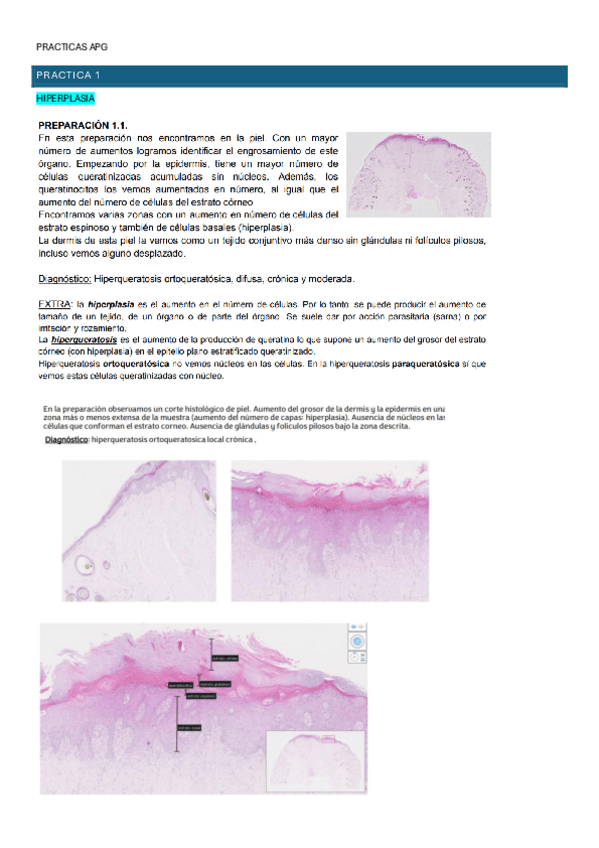 Miniatura del documento recopilacion-PRACTICAS-APG.pdf