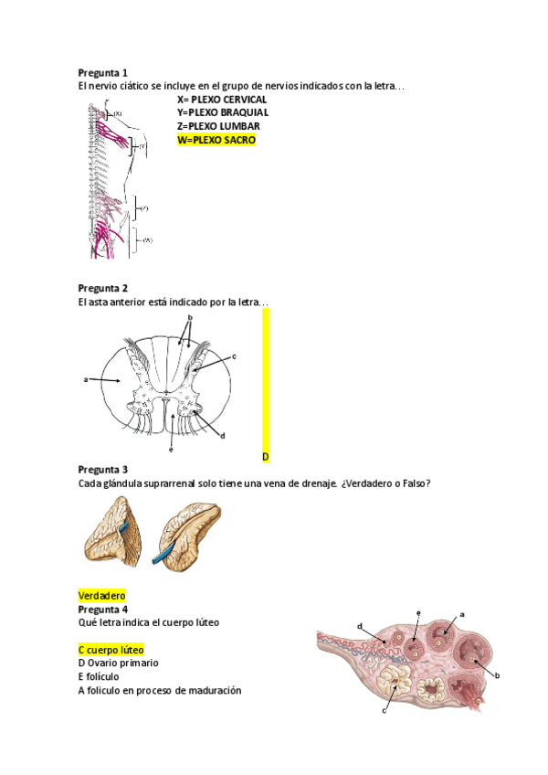 Miniatura del documento Examen-final-laminas.pdf