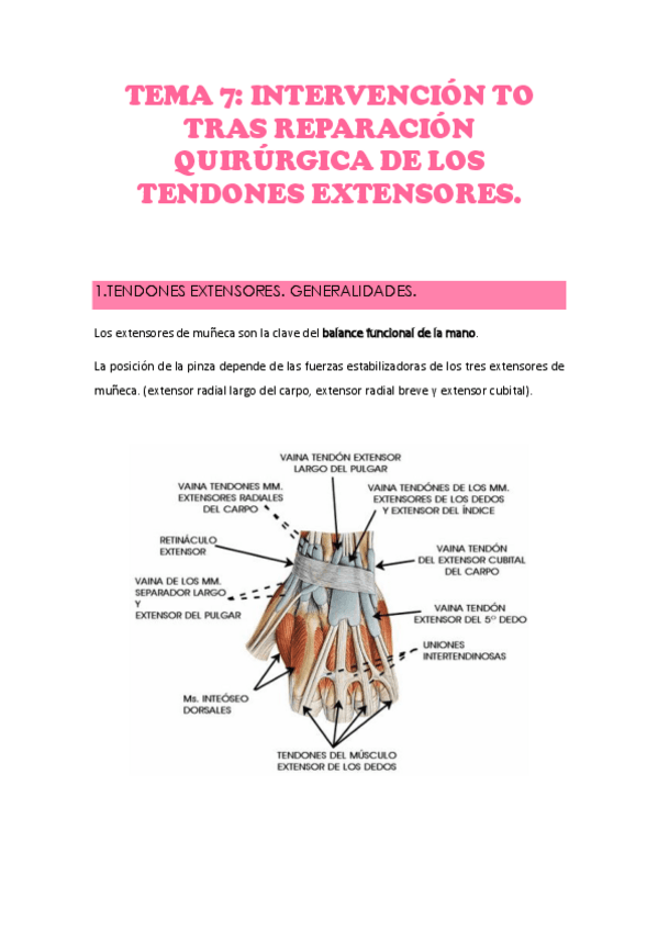Miniatura del documento TEMA-7.pdf