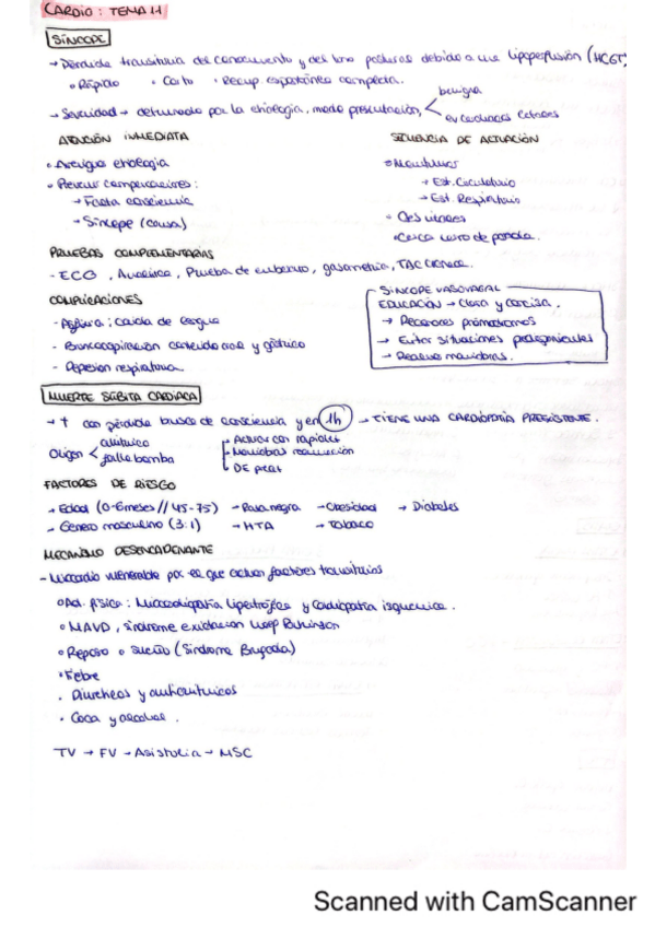 Miniatura del documento cardio-tema-11.pdf