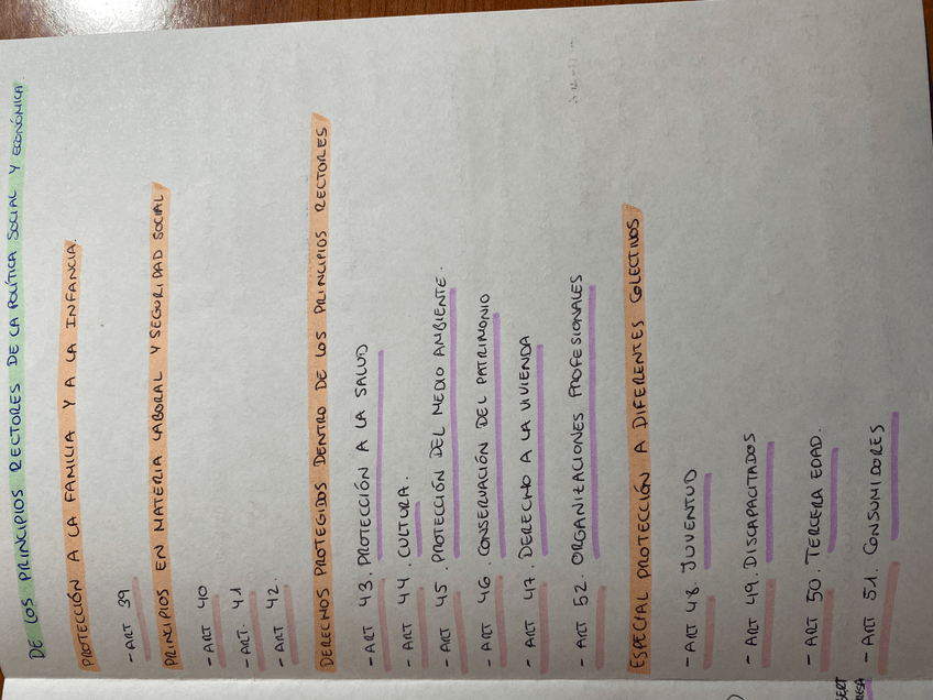 Miniatura del documento IMG1672.jpeg