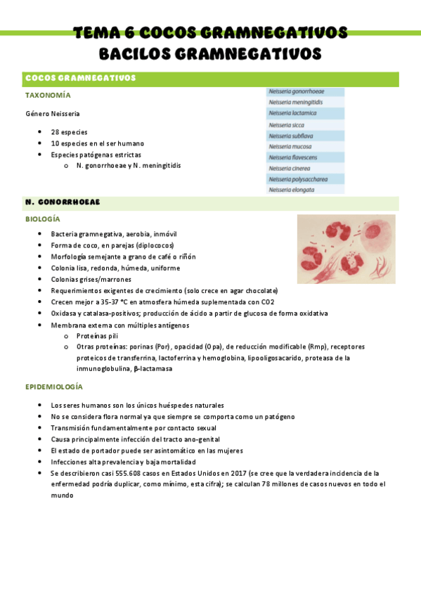Miniatura del documento Microbiologia-T6.pdf