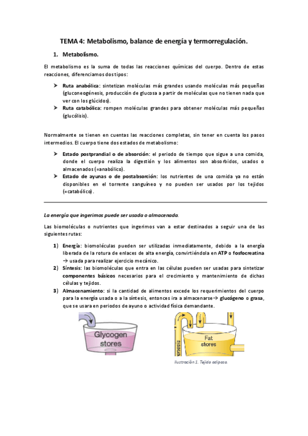 Miniatura del documento TEMA-4.pdf