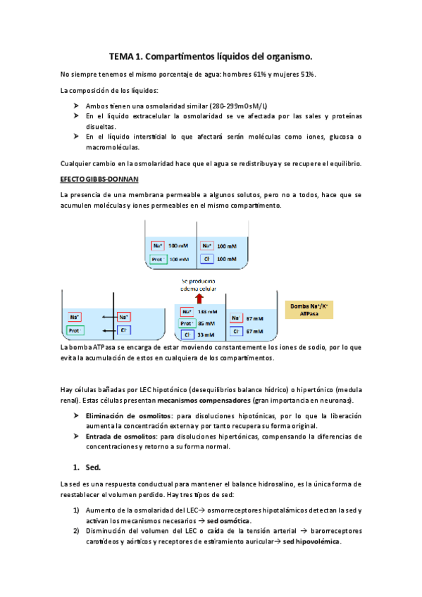 Miniatura del documento TEMAS-1-2-Y-3.pdf
