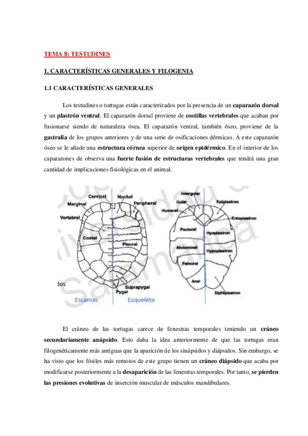 Miniatura del documento AP-Fauna-Tema-8-WH.pdf