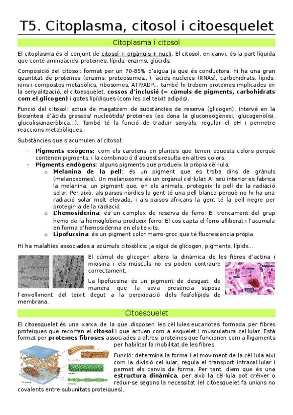 Miniatura del documento T5.-Citoplasma-i-citoesquelet.docx