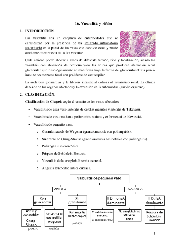 Miniatura del documento 16.-Vasculitis-y-rinon.pdf