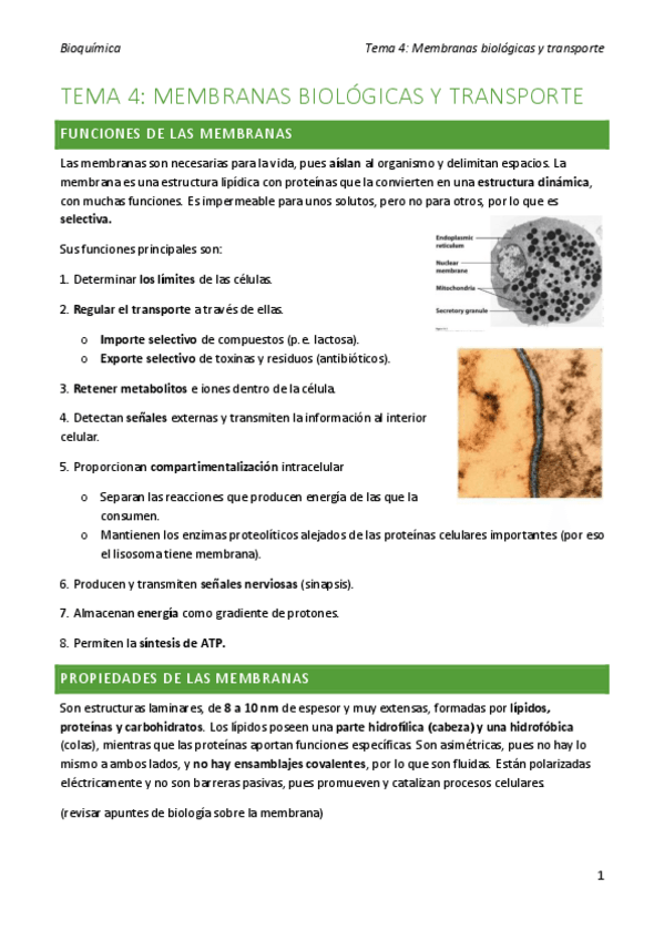 Miniatura del documento bioquimica-tema-4.pdf