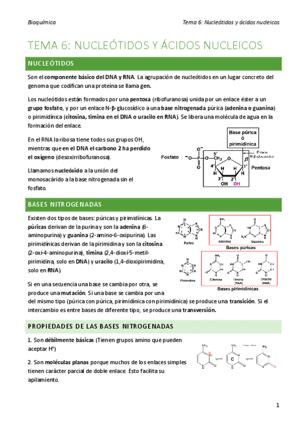 Miniatura del documento bioquimica-tema-6.pdf